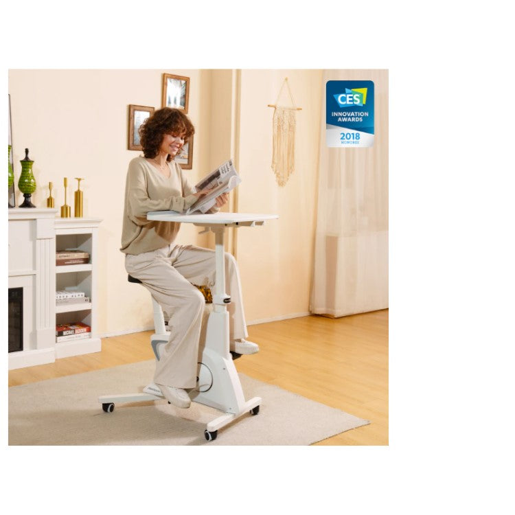 Home Office All-in-One Desk Bike/Bike Workstation v9