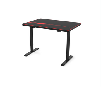 Flexispot Electric Height Adjustable Gaming Desk with Mouse Pad EC1/EN1
