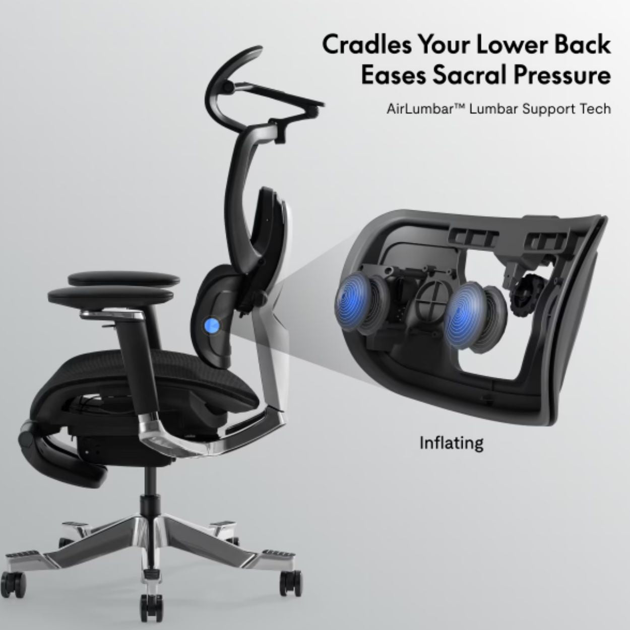 Flexispot C7 Morpher Ergonomic Chair