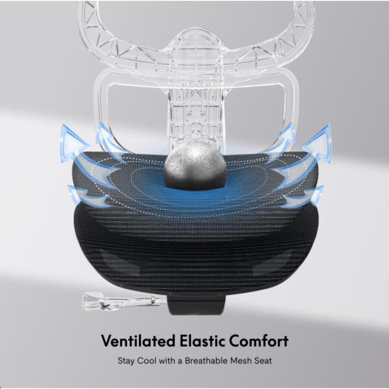 Flexispot Premium Ergonomic Office Chair (C7)