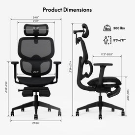 Flexispot Premium Ergonomic Office Chair (C7)