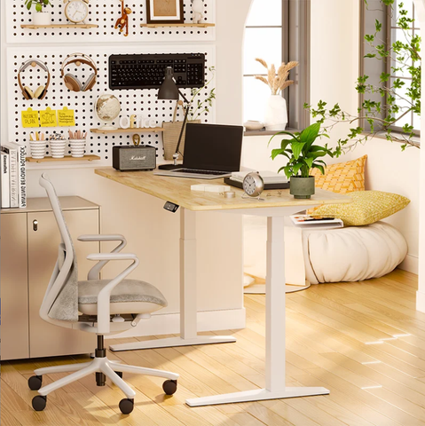 Image of Flexispot E7 Pro Premium Standing Desk (E7 Pro)