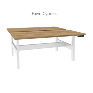 Benching with Worksurface