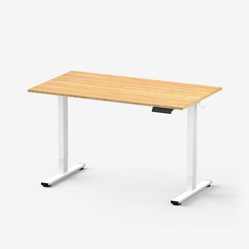 Flexispot Premium Standing Desk (E2 - Bamboo)