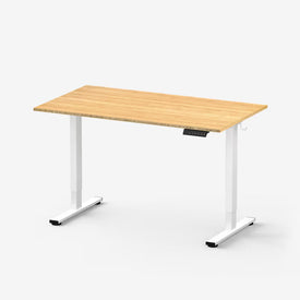 Flexispot Premium Standing Desk (E2 - Chipboard)