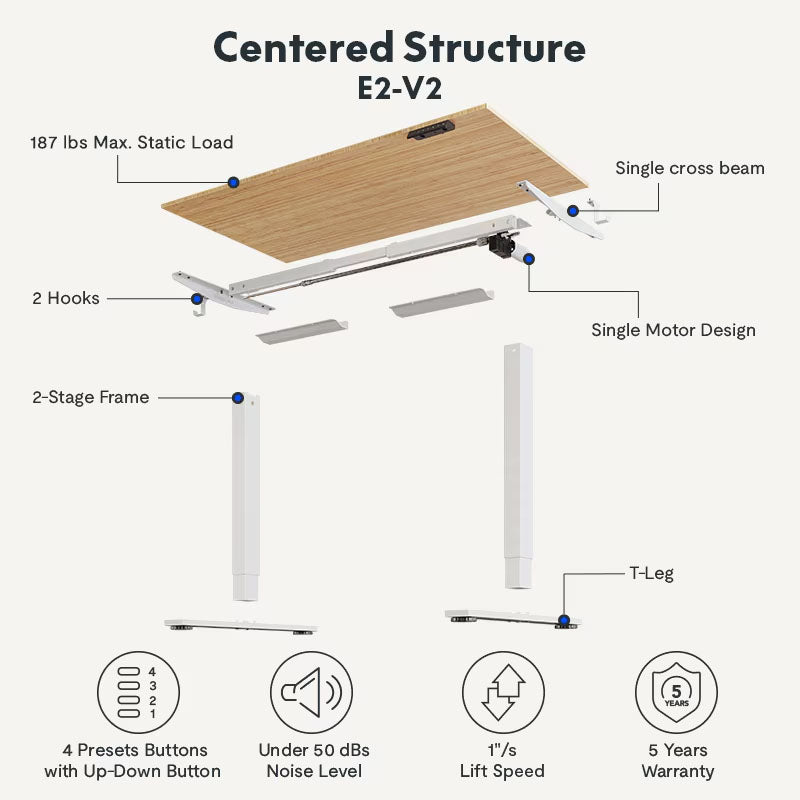 Flexispot Premium Standing Desk (E2 - Bamboo)