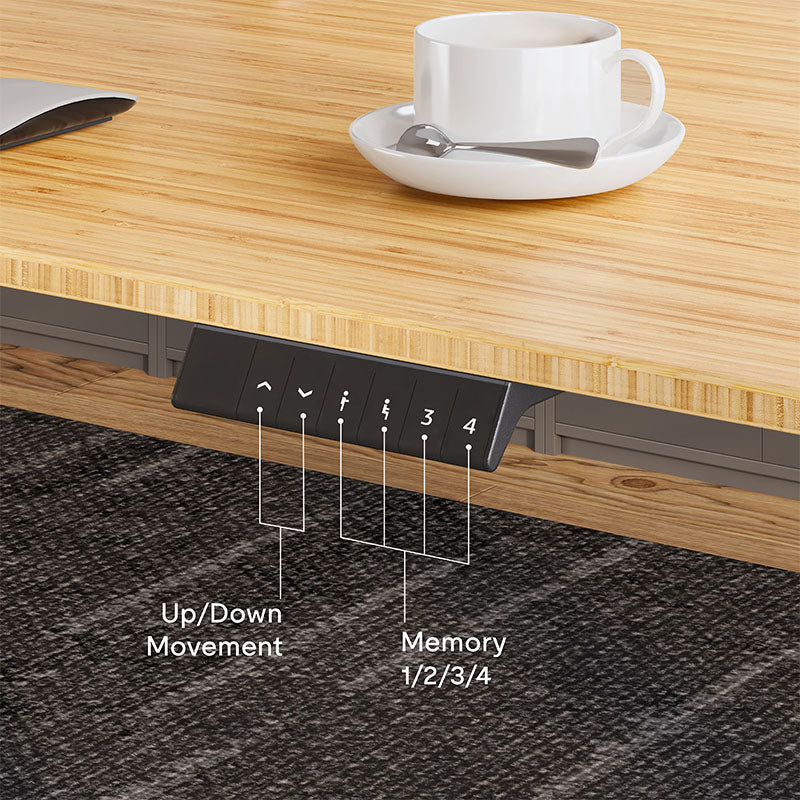 Flexispot Premium Standing Desk (E2 - Bamboo)