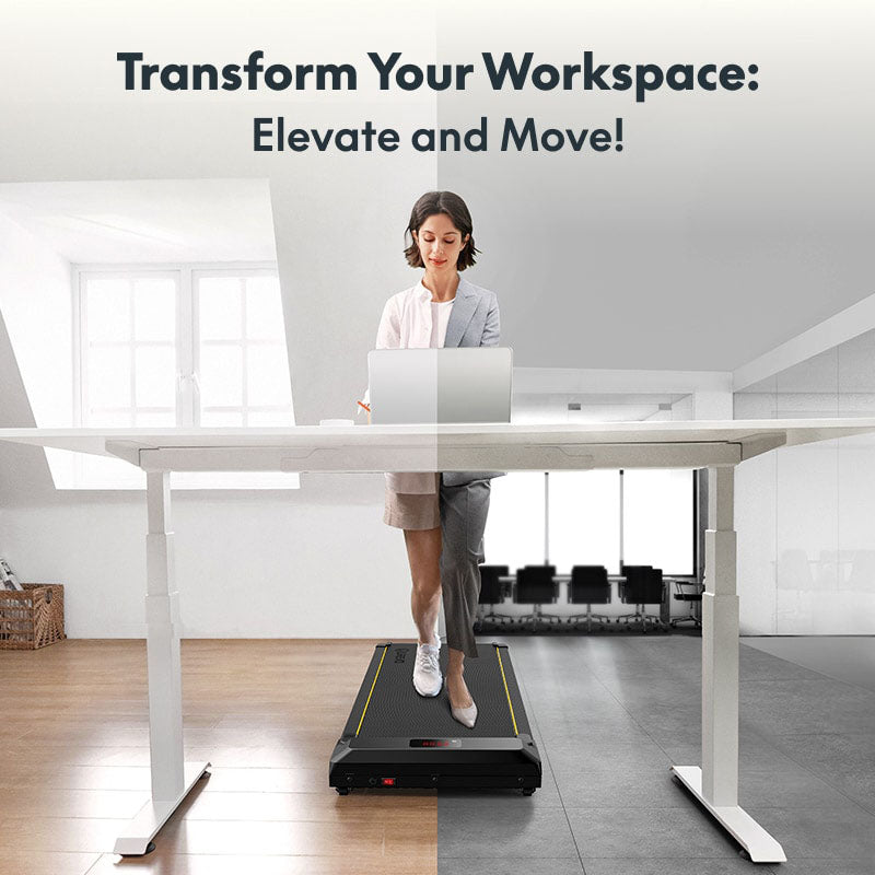 Flexispot Premium Standing Desk (E2 - Bamboo)