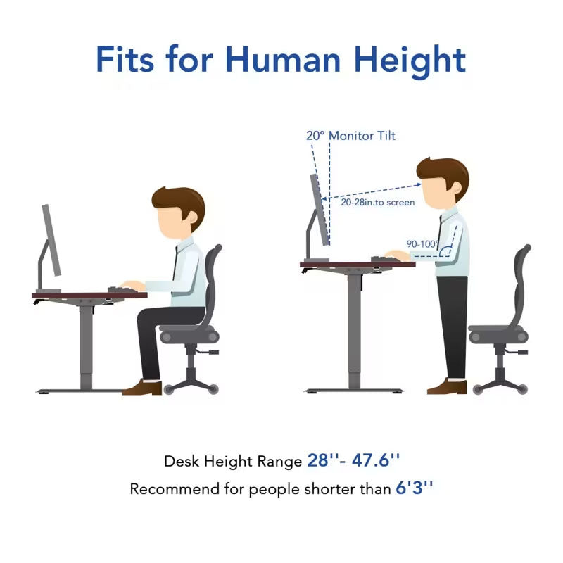 Flexispot Premium Standing Desk (E2 - Bamboo)