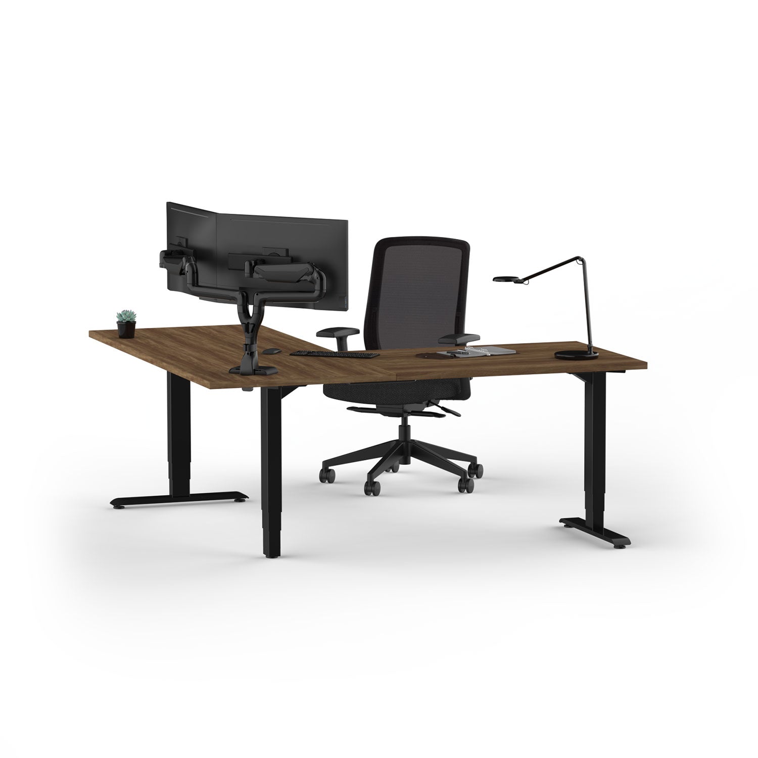 Hat Collective E5 Dual Dynamic Wide Monitor Arm – Heavy-Duty Dual Display Mount | Free Shipping USA