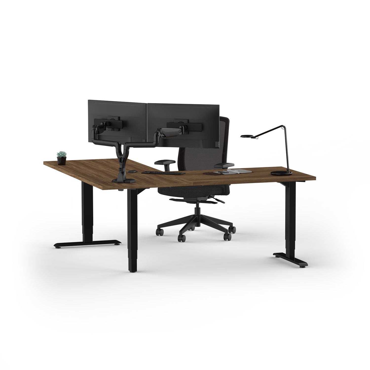 Hat Collective E5 Dual Dynamic Wide Monitor Arm – Heavy-Duty Dual Display Mount | Free Shipping USA