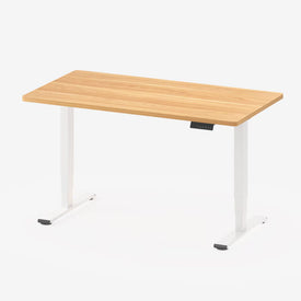 Flexispot Premium Standing Desk (E5 - Chipboard)