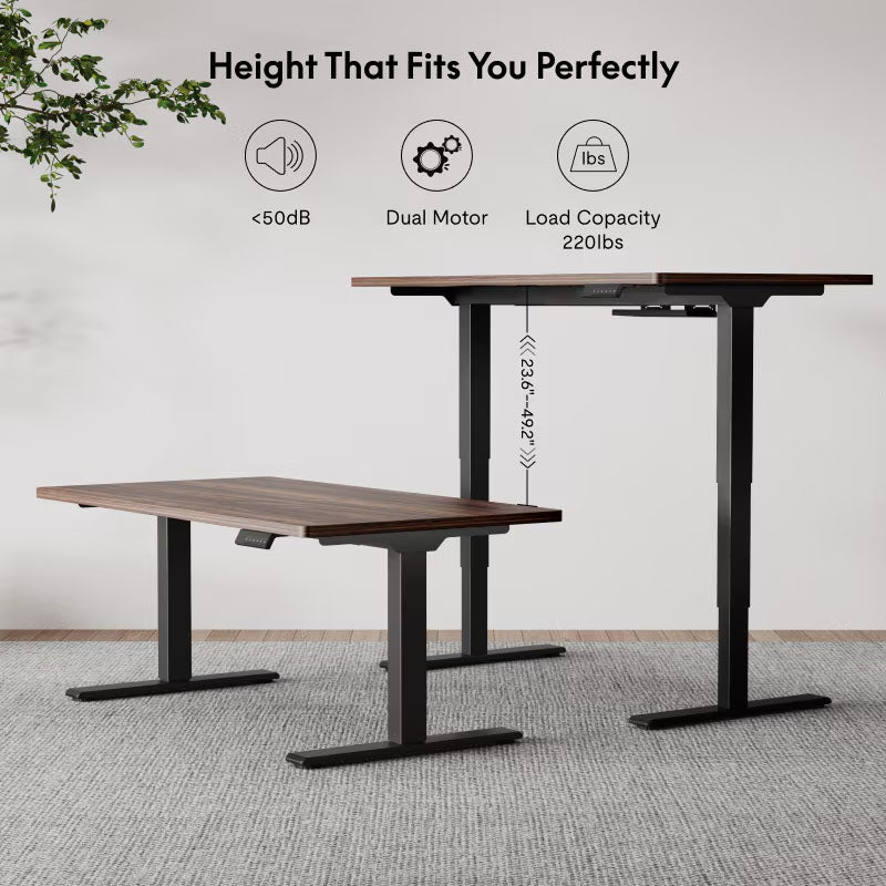 Flexispot Premium Standing Desk (E5 - Chipboard)
