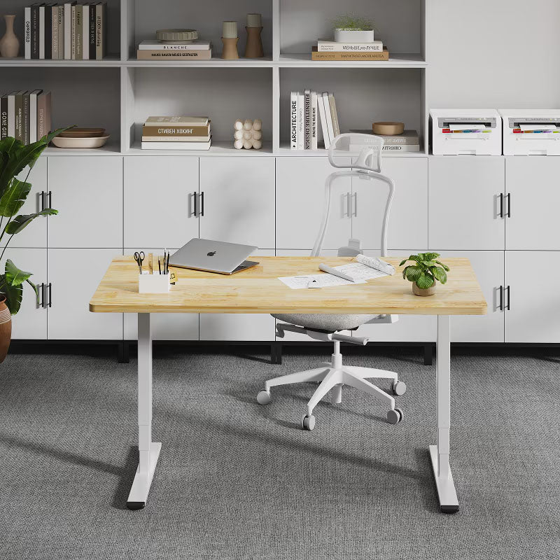 Flexispot Premium Standing Desk (E5 - Chipboard)