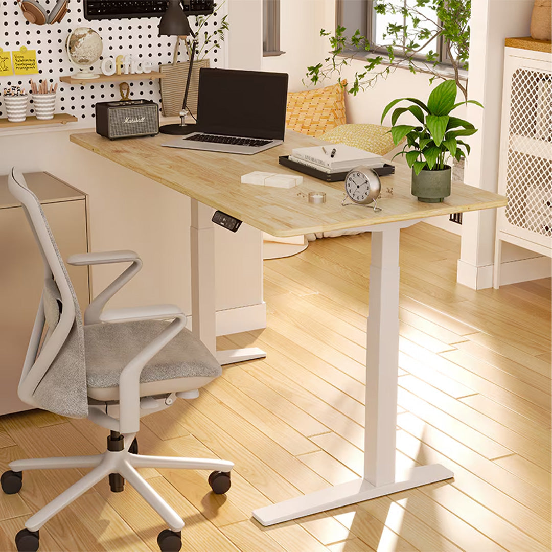 Flexispot Premium Standing Desk (E7 Pro - Bamboo)