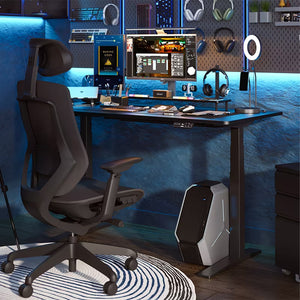 Flexispot Premium Standing Desk (E7 Pro - Chipboard)
