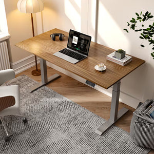 Flexispot Premium Standing Desk (E7 - Chipboard)