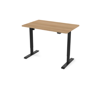 Flexispot Value Electric Height Adjustable Desk EC1-42"W
