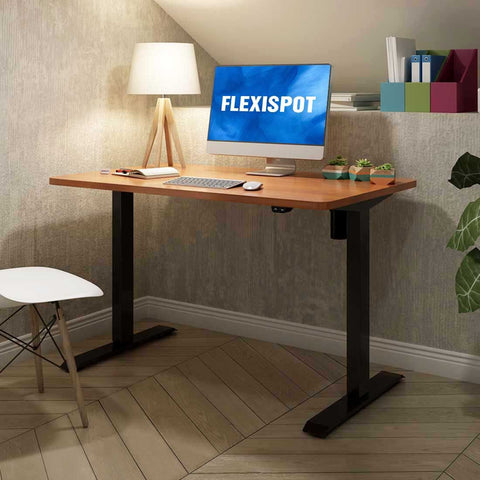 Image of Flexispot Electric Height Adjustable Standing Desk: 2-stage Economical Option EC1/EN1