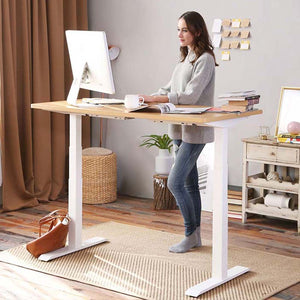 Flexispot Electric Height Adjustable Standing Desk EC3
