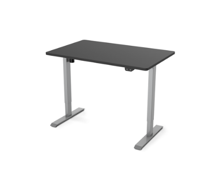 Image of Flexispot Value Electric Height Adjustable Desk EC1-42"W