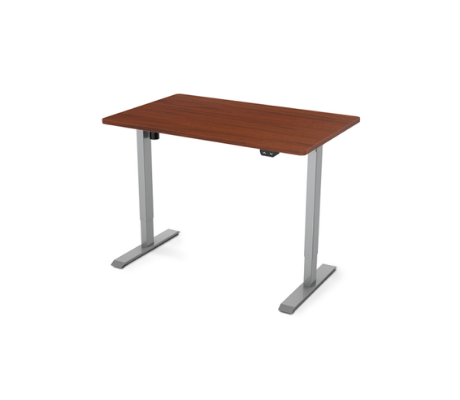 Image of Flexispot Value Electric Height Adjustable Desk EC1-42"W