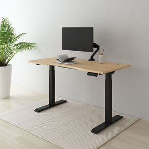 Flexispot Kana Electric Height Adjustable Standing Desk W/ Bamboo Top