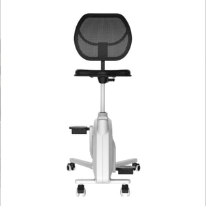 Flexispot Sit2Go F1 2-in-1 Fitness Chair
