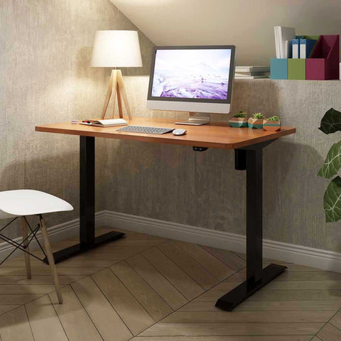 Flexispot Value Electric Height Adjustable Desk EC1-42"W