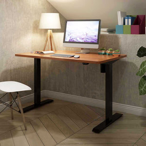 Flexispot Value Electric Height Adjustable Desk EC1-42"W