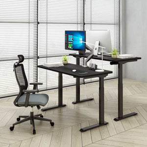 Flexispot Vici Electric Quick-Install Height Adjustable Desk EC9 - 48" W