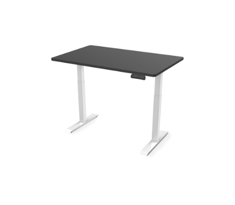 Image of Flexispot Electric Height Adjustable Standing Desk EC3