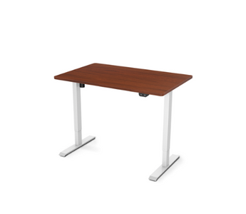Flexispot Value Electric Height Adjustable Desk EC1-42"W