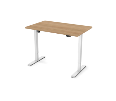 Image of Flexispot Value Electric Height Adjustable Desk EC1-42"W